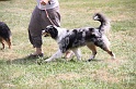 IMG_0184