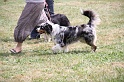 IMG_0185