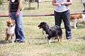 IMG_0188
