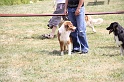 IMG_0192