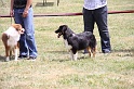 IMG_0193