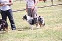 IMG_0194