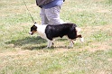 IMG_0198