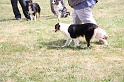 IMG_0200