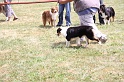 IMG_0201