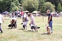 IMG_0203