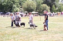 IMG_0209