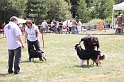IMG_0211