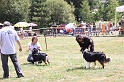 IMG_0212