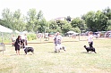 IMG_0216