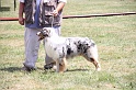 IMG_0222