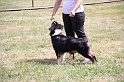 IMG_0225