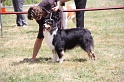 IMG_0226