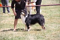 IMG_0228