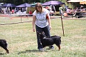 IMG_0229