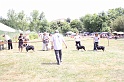 IMG_0231