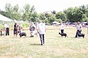 IMG_0232