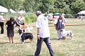 IMG_0236