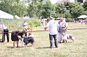 IMG_0237