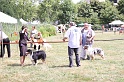 IMG_0238