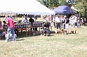 IMG_0240
