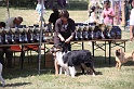 IMG_0241