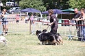 IMG_0242