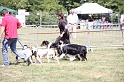 IMG_0245