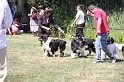 IMG_0246