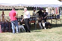 IMG_0248