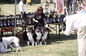 IMG_0250