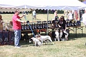 IMG_0251