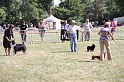 IMG_0252