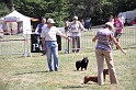 IMG_0254