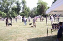 IMG_0256
