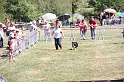 IMG_0262