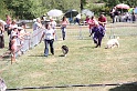 IMG_0263