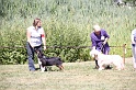 IMG_0267