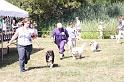 IMG_0271