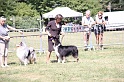 IMG_0272