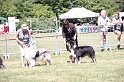 IMG_0274