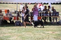 IMG_0278