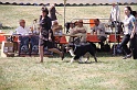 IMG_0279