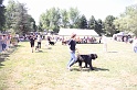 IMG_0281