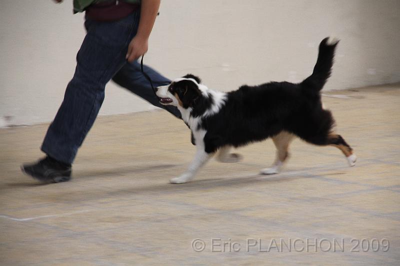 IMG_0176.JPG