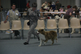 IMG_5977
