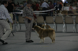 IMG_5979