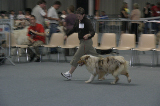 IMG_5994
