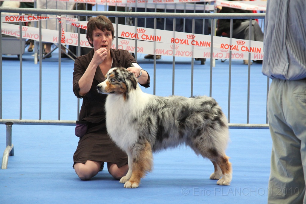 IMG_0036.JPG