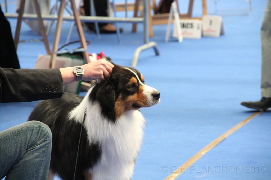 IMG_0049.JPG